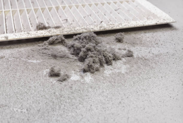 Best Local Air Duct Cleaning Services  in Bourg, LA
