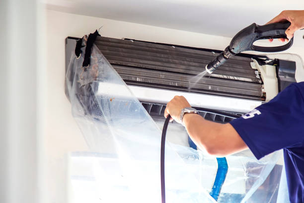 Air Duct Mold Removal in Bourg, LA