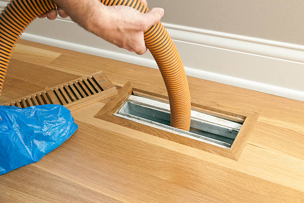 Best Home Air Vent Cleaning  in Bourg, LA