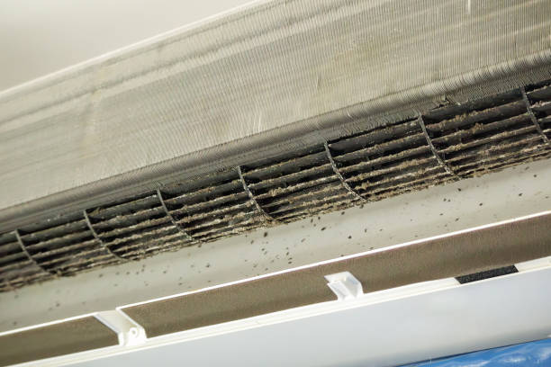 Best Residential Air Duct Cleaning  in Bourg, LA